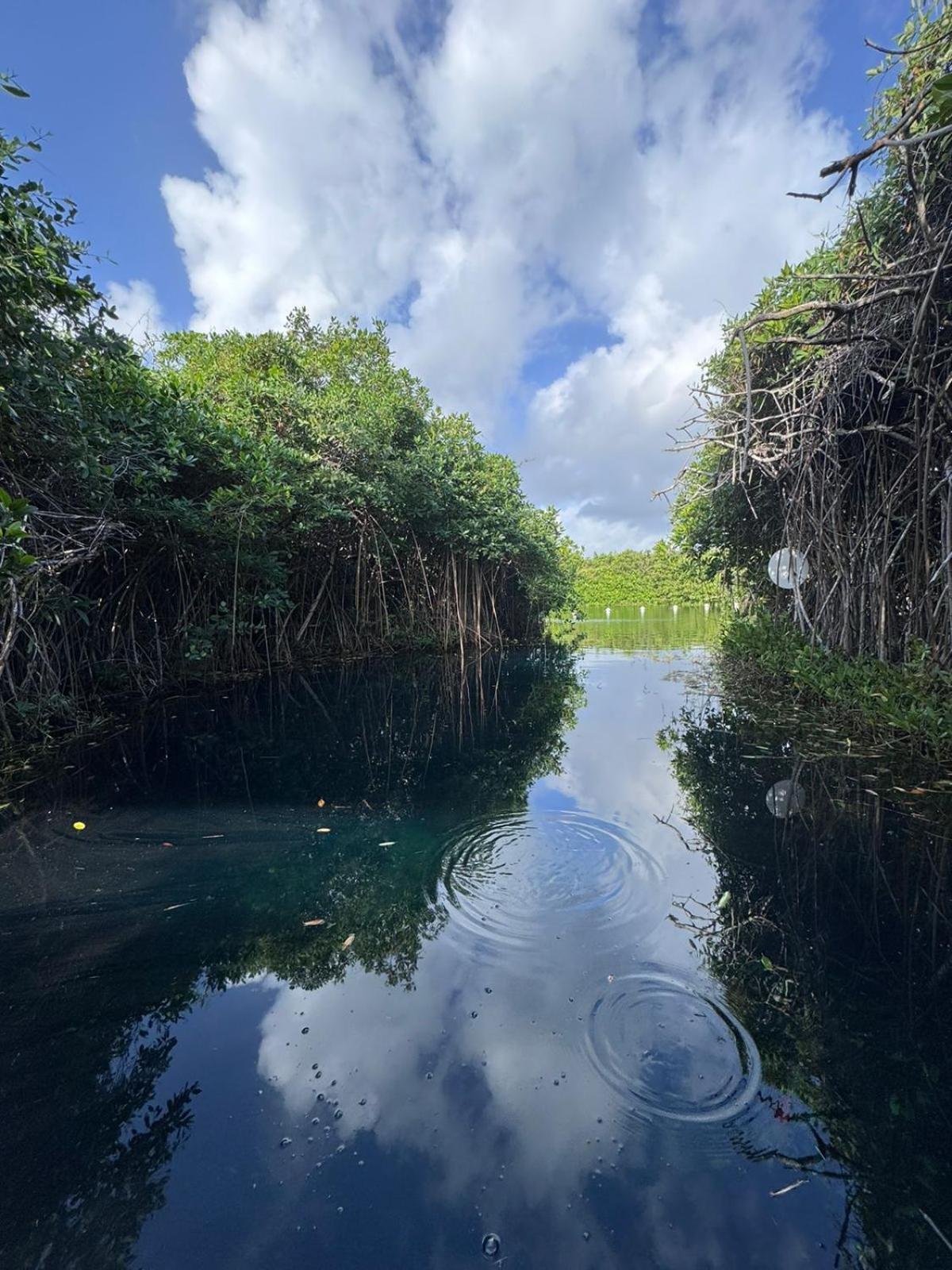 Cabanas Tulum - Aldea Mangle & Cenote Экстерьер фото