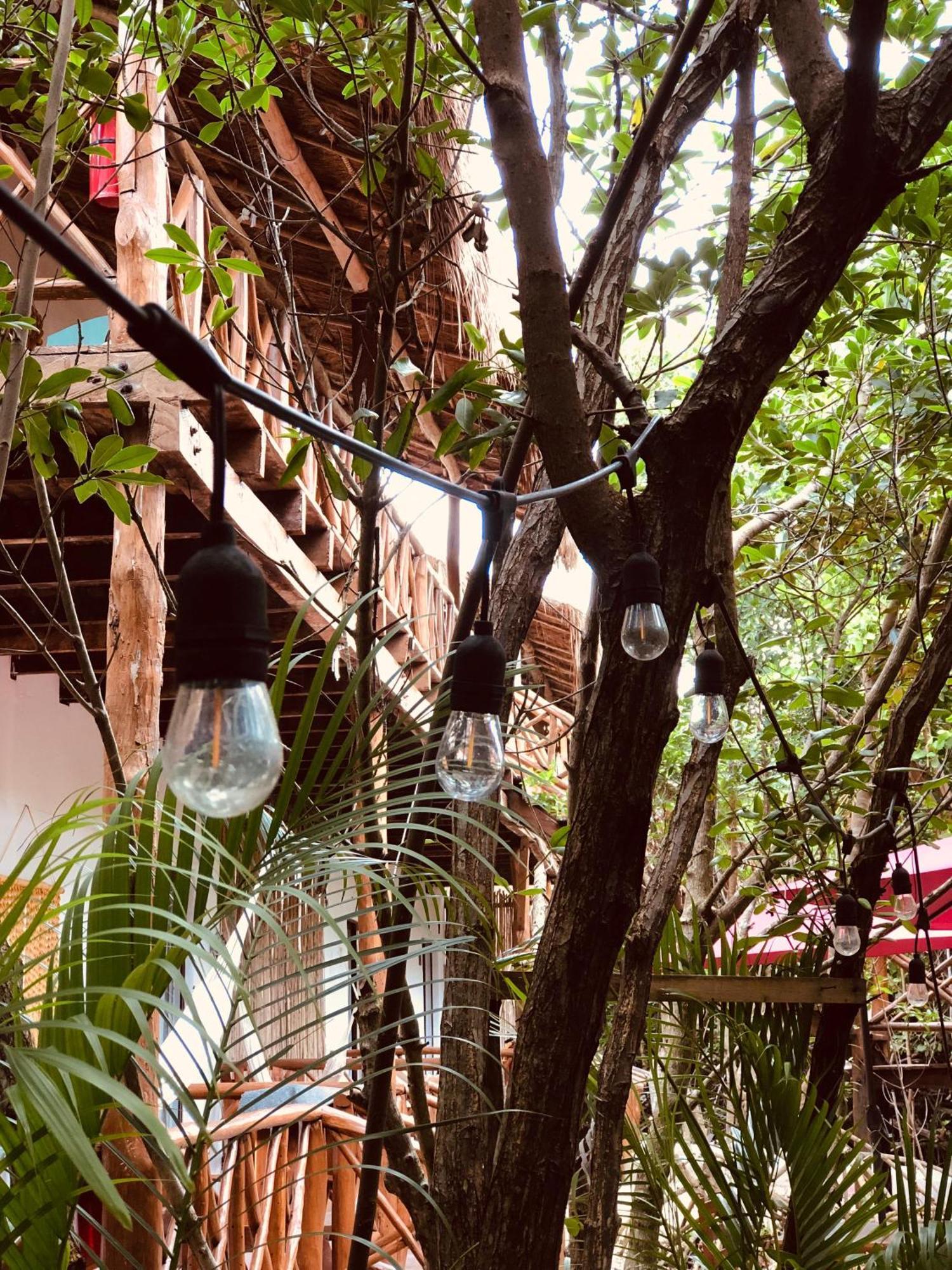Cabanas Tulum - Aldea Mangle & Cenote Экстерьер фото