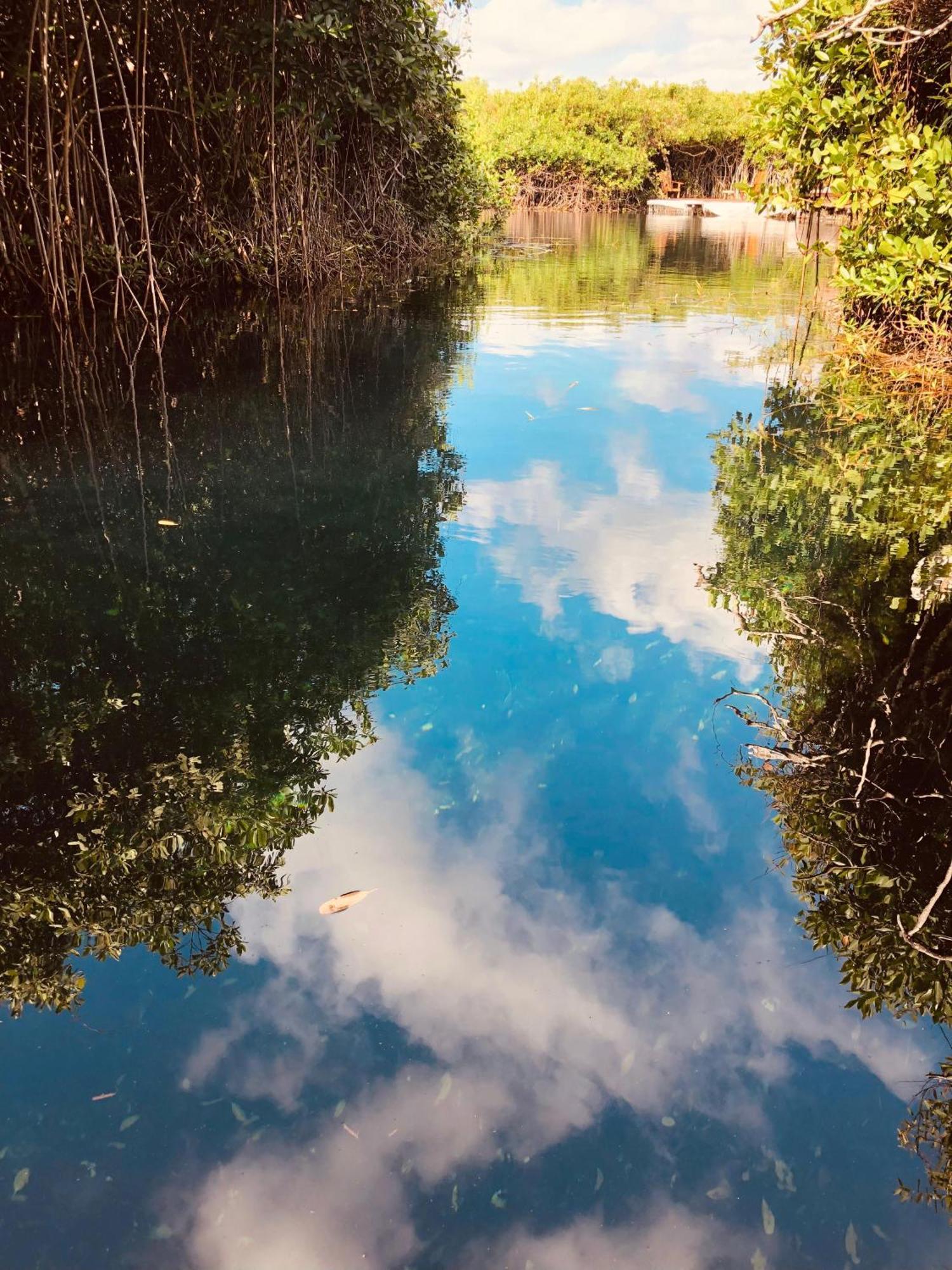 Cabanas Tulum - Aldea Mangle & Cenote Экстерьер фото