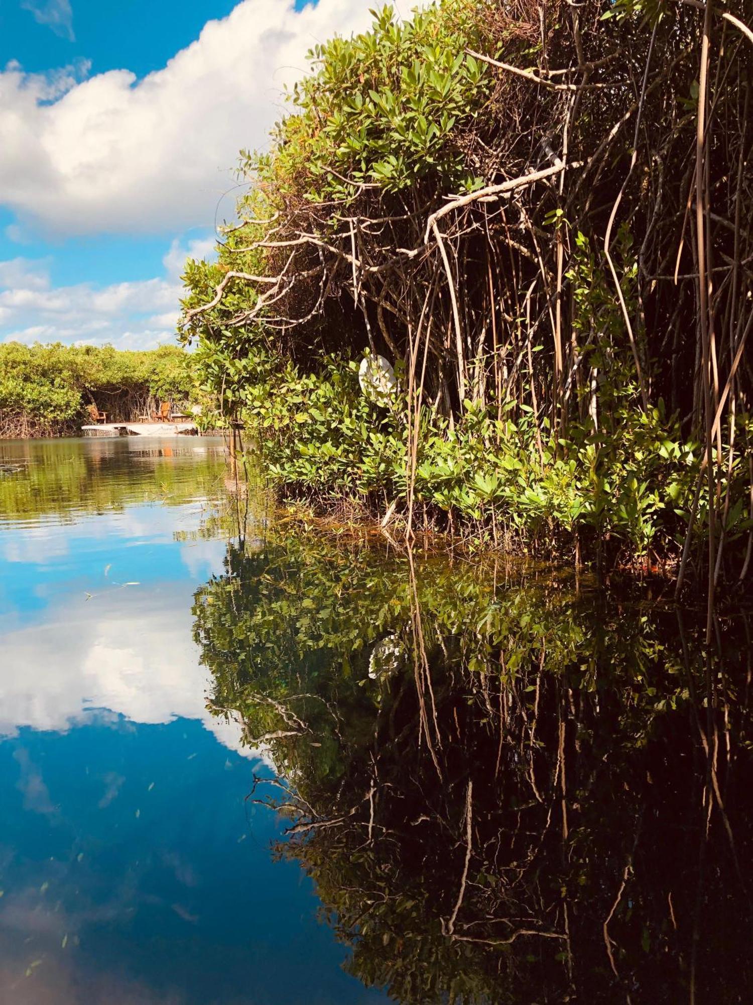 Cabanas Tulum - Aldea Mangle & Cenote Экстерьер фото