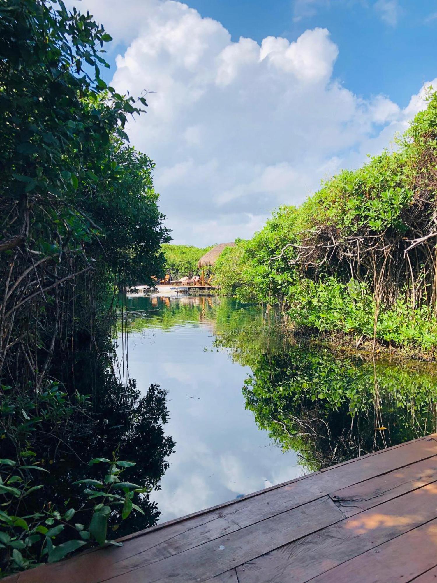 Cabanas Tulum - Aldea Mangle & Cenote Экстерьер фото